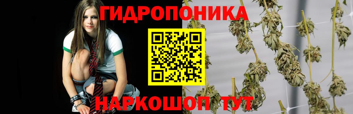 Псилоцибиновые грибы Дубна
